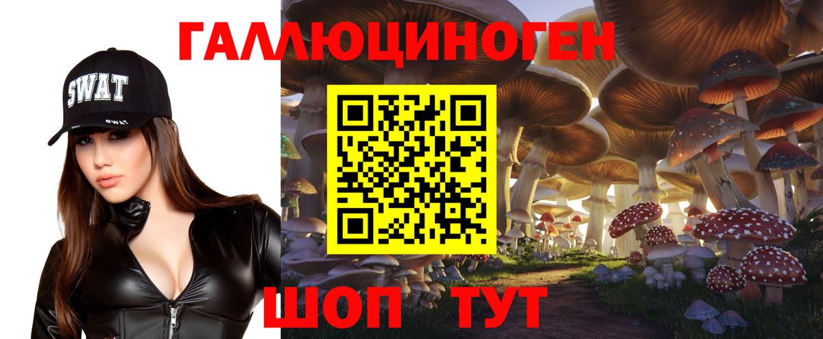Славянск-на-Кубани  Галлюциногенные грибы мухоморы  наркошоп  Вход с VPN 